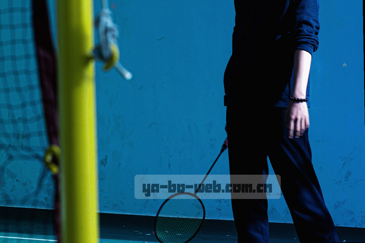 媒体、球迷社区与数据服务三类合作方向的抽象图示，以线条与数据面板组合呈现